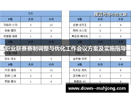 职业联赛赛制调整与优化工作会议方案及实施指导