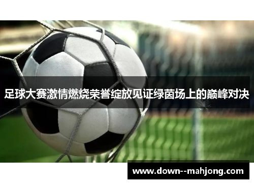 足球大赛激情燃烧荣誉绽放见证绿茵场上的巅峰对决