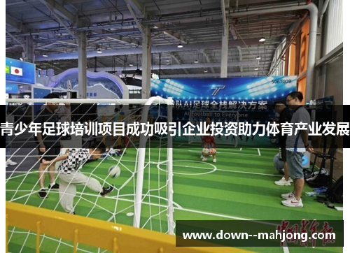 青少年足球培训项目成功吸引企业投资助力体育产业发展