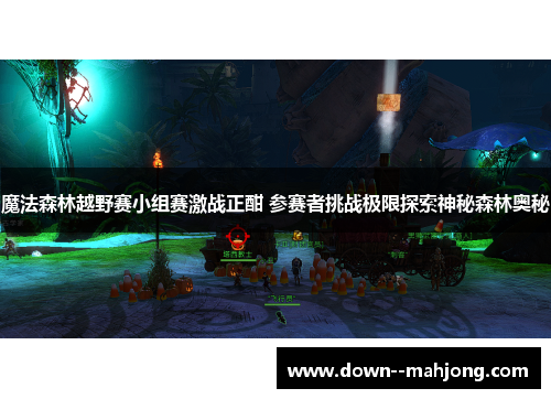 魔法森林越野赛小组赛激战正酣 参赛者挑战极限探索神秘森林奥秘
